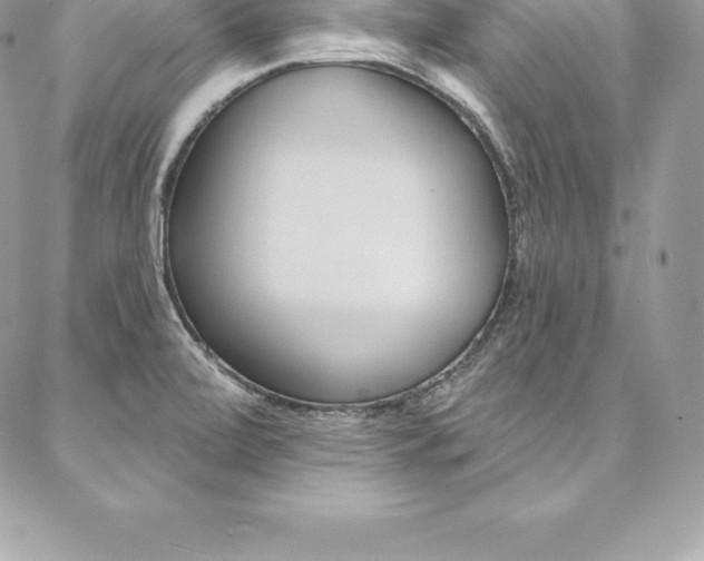 X0000087381472200704200830