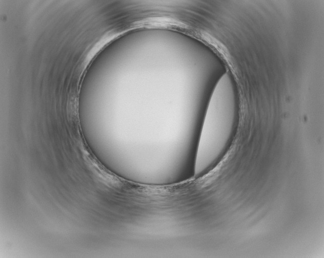 X0000087381473200704200830