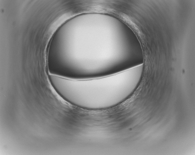 X0000087381479200704200830