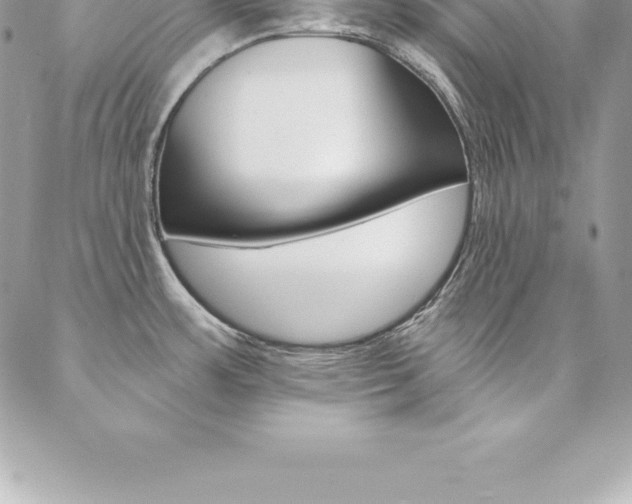 X0000087381483200704200830