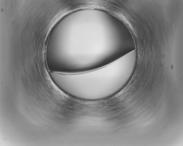 X0000087381484200704200830