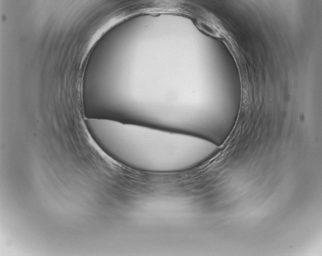 X0000087381487200704200830