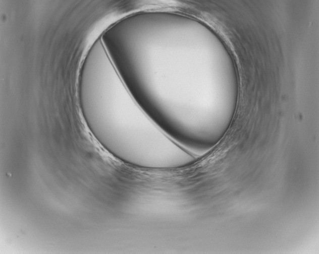 X0000087381488200704200830