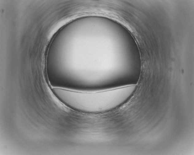 X0000087381523200704200830