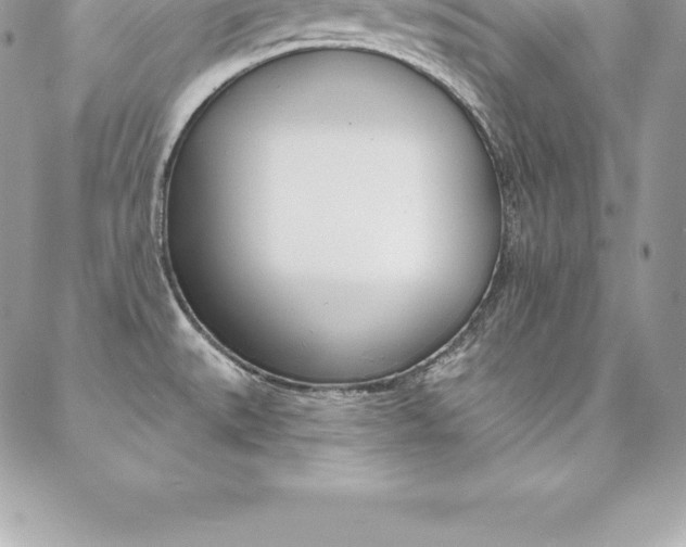 X0000087381527200704200830