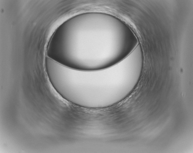 X0000087381528200704200830