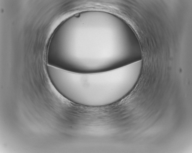X0000087381531200704200830