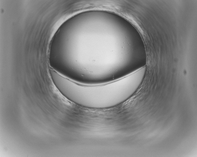 X0000087381532200704200830