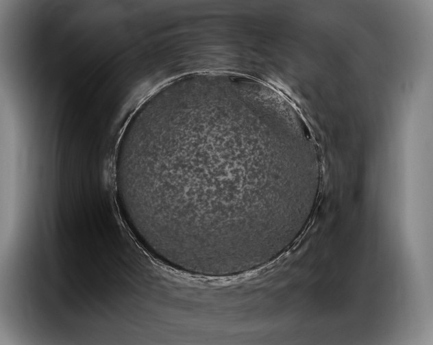 X0000087380002200704201253