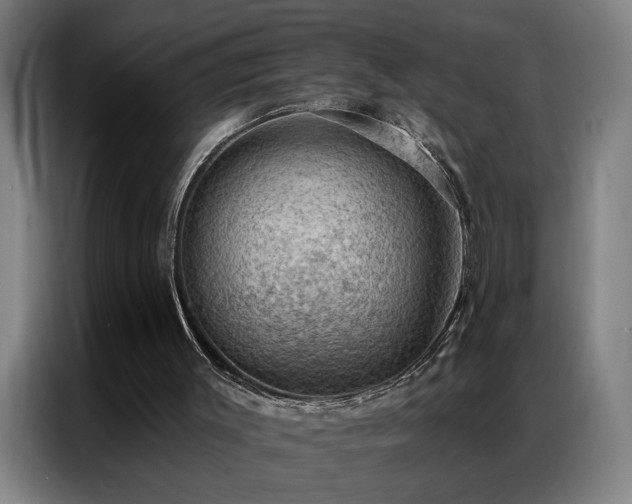 X0000087380003200704201253