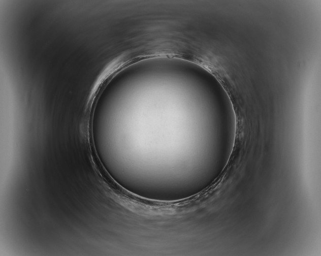 X0000087380004200704201253