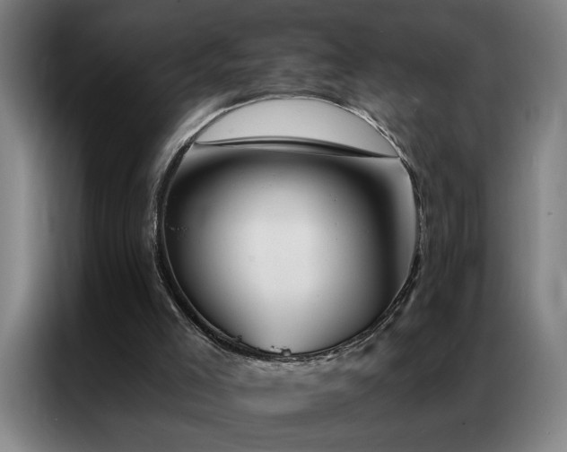 X0000087380005200704201253