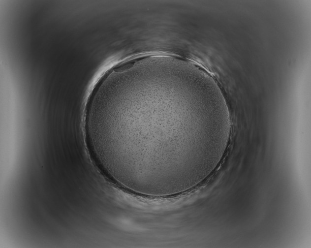 X0000087380006200704201253