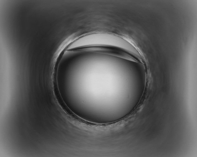 X0000087380007200704201253