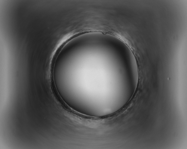 X0000087380008200704201253