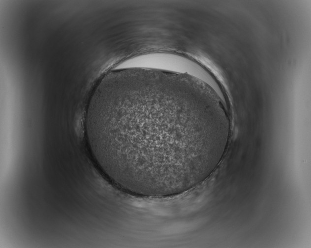 X0000087380009200704201253