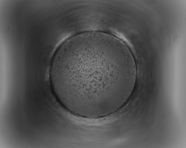 X0000087380010200704201253