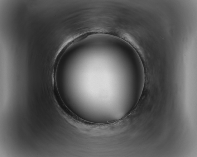 X0000087380011200704201253