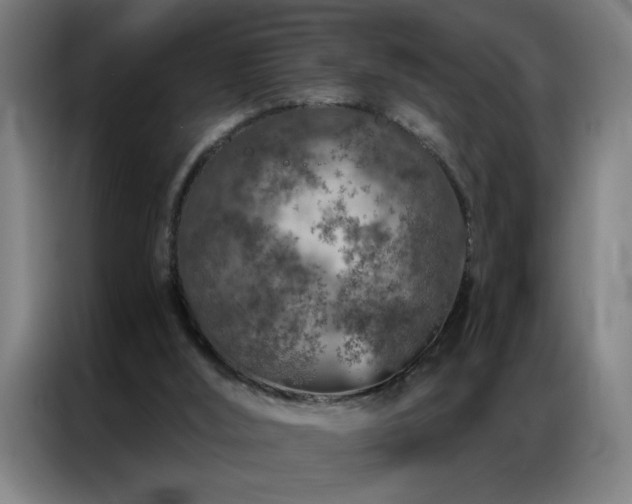 X0000087380012200704201253