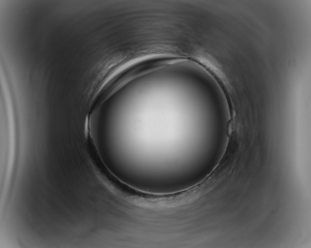 X0000087380013200704201253