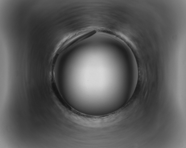 X0000087380015200704201253