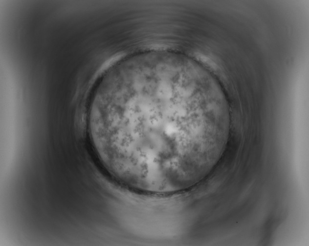 X0000087380016200704201253