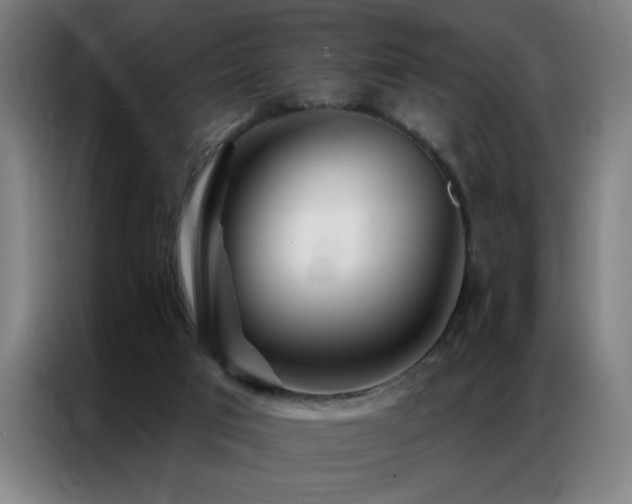 X0000087380017200704201253