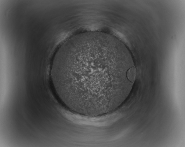 X0000087380018200704201253