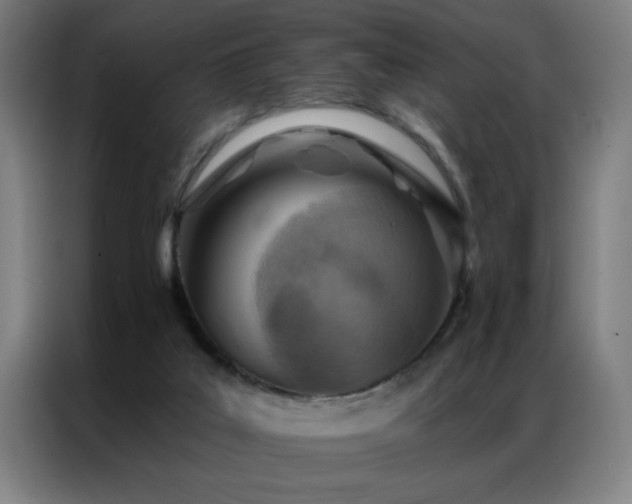 X0000087380019200704201253