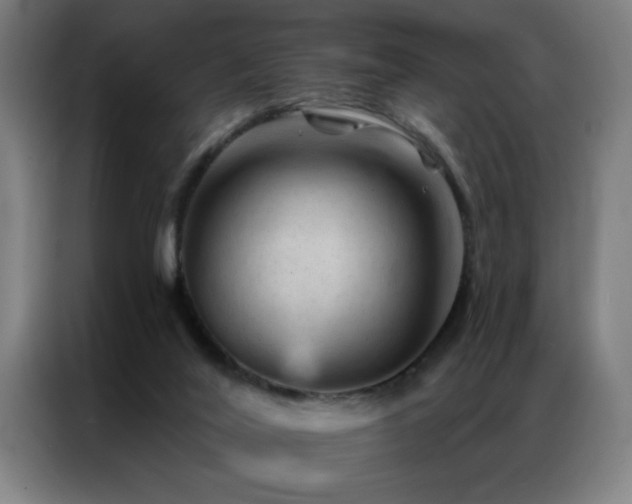 X0000087380020200704201253