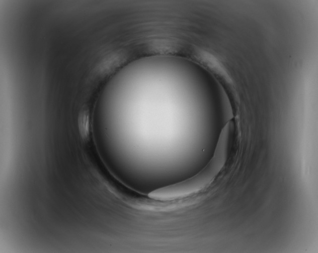 X0000087380021200704201253