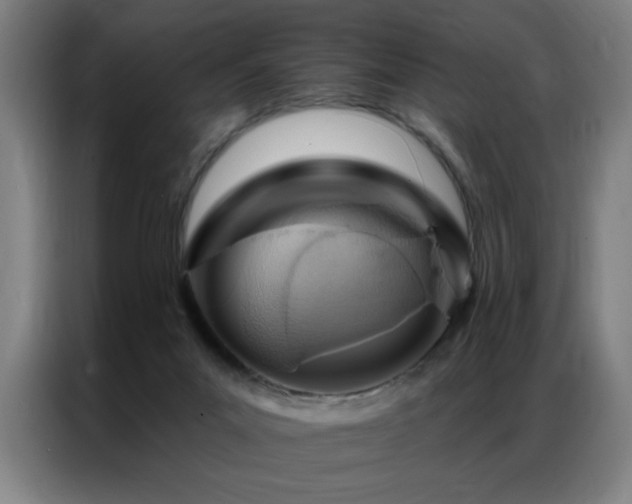 X0000087380023200704201253