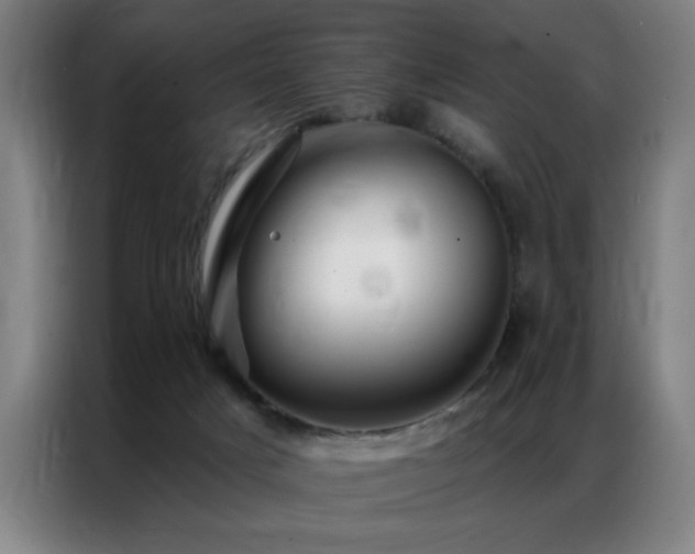 X0000087380025200704201253