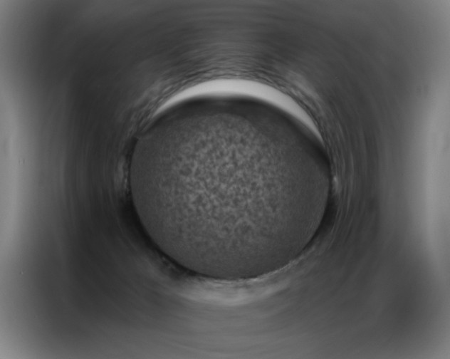 X0000087380029200704201253