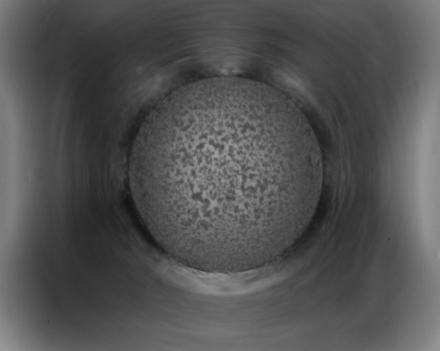 X0000087380030200704201253