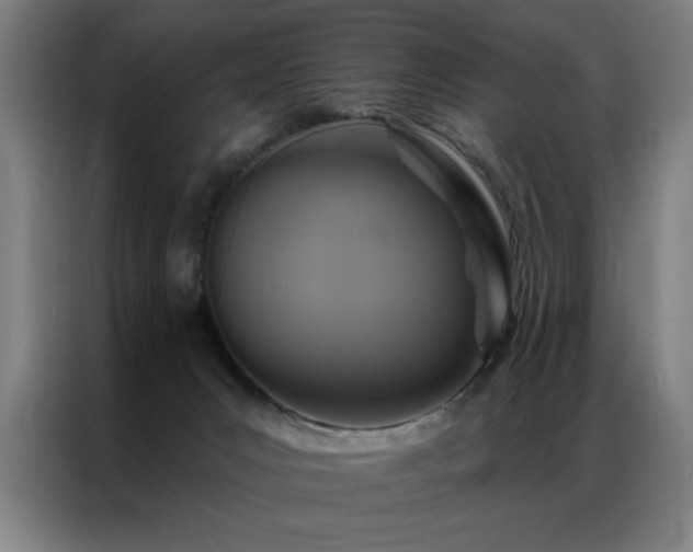 X0000087380031200704201253