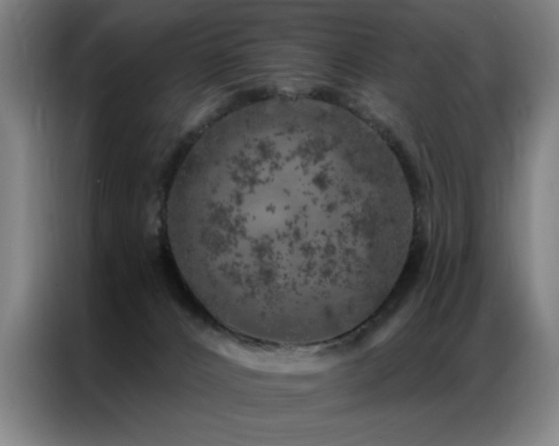 X0000087380032200704201253