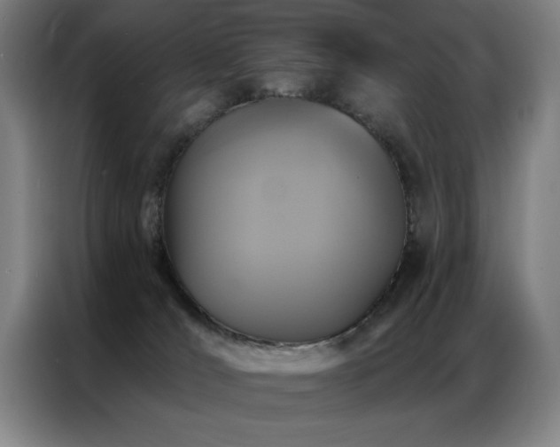 X0000087380036200704201253