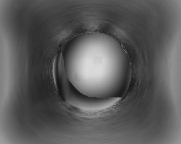 X0000087380037200704201253