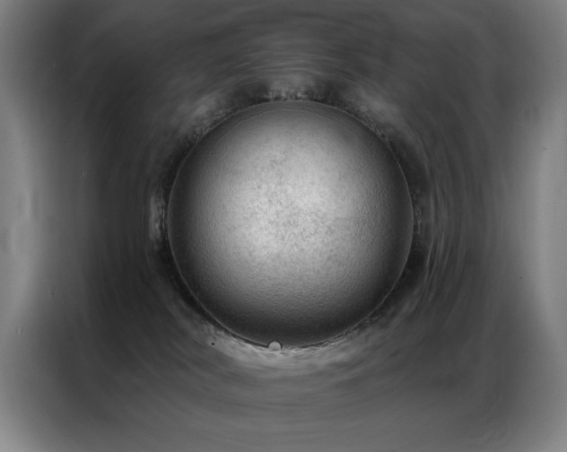 X0000087380038200704201253