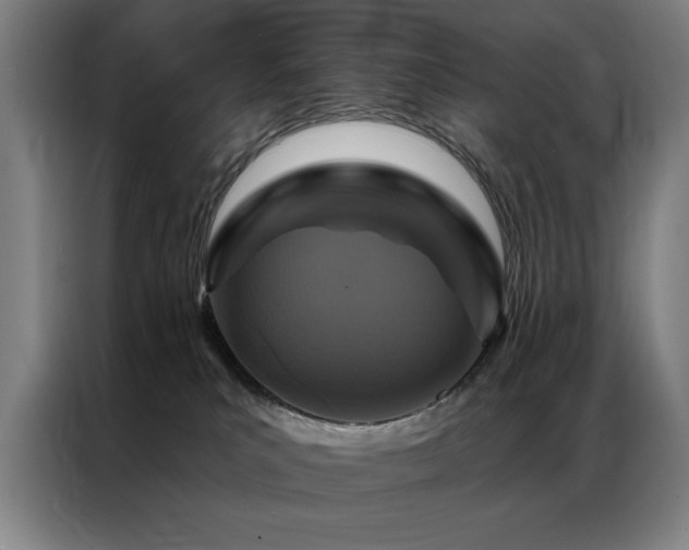 X0000087380039200704201253