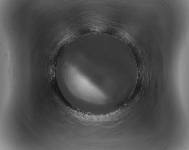 X0000087380043200704201253