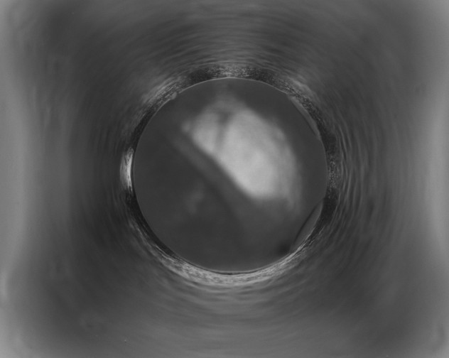 X0000087380047200704201253