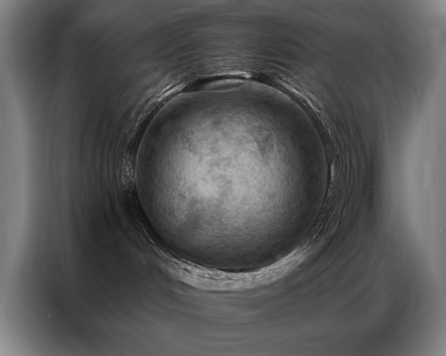 X0000087380048200704201253