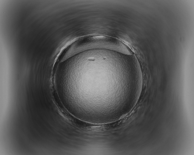 X0000087380050200704201252