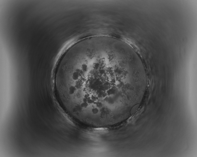 X0000087380053200704201252