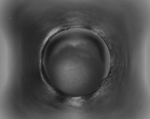 X0000087380054200704201252