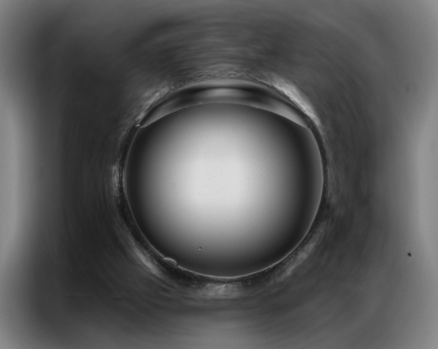 X0000087380057200704201252