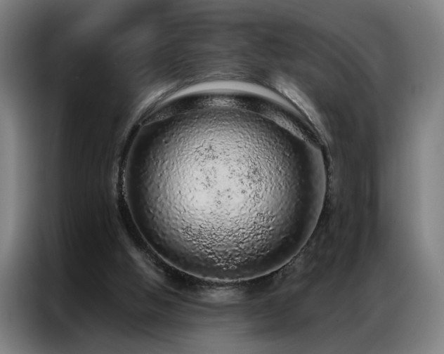 X0000087380058200704201252