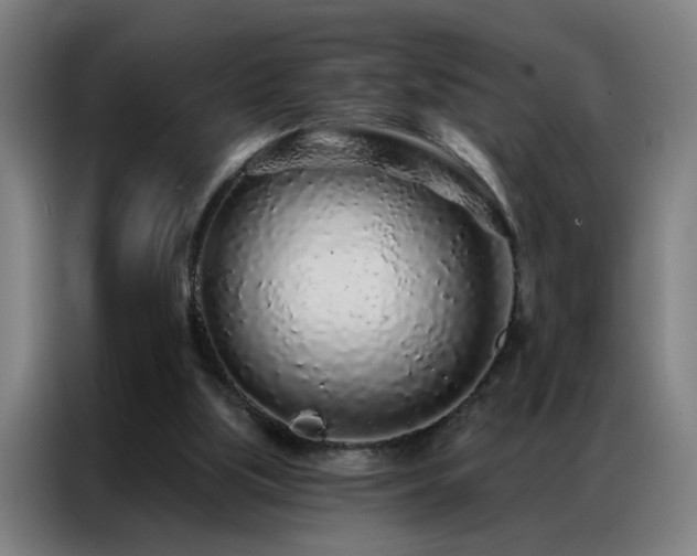 X0000087380059200704201252